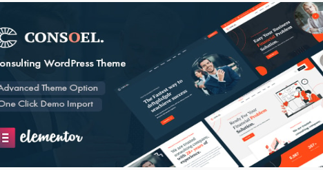 Consoel - Consulting Business WordPress Theme 2.0.2