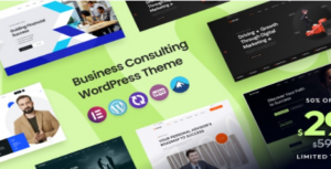 Seargin - Business Consulting WordPress Theme  1.0