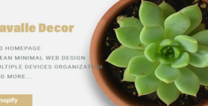 Bavalle - Decor Responsive Shopify Theme
