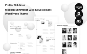 ProDev Solutions - Modern Minimalist Web Development WordPress Theme