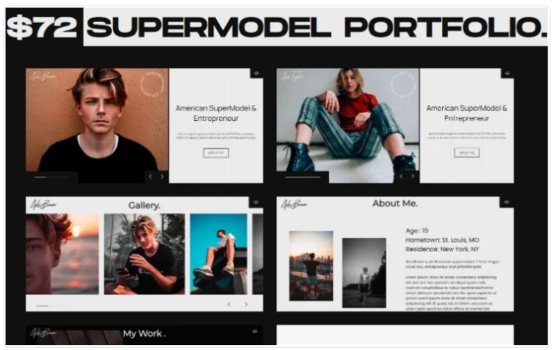 Model Portfolio Multipurpose HTML By WINK Website Template 1.0