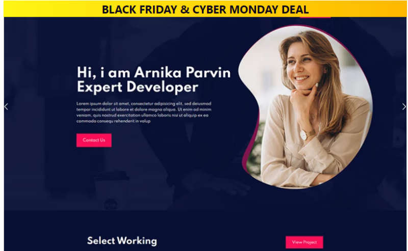 Arnika Personal Creative Responsive WordPress Theme