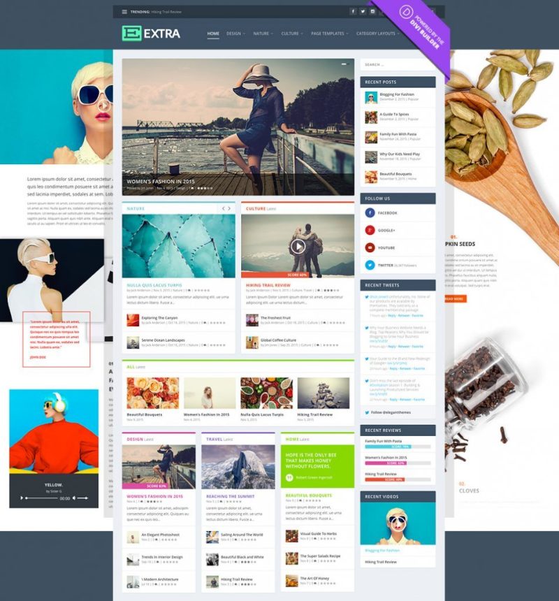 Elegant Themes Extra WordPress Theme  4.19.2