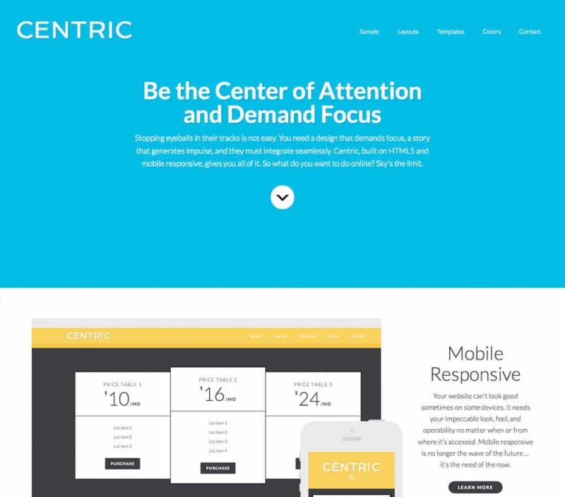 Studiopress Centric Pro Genesis WordPress Theme 1.1.2