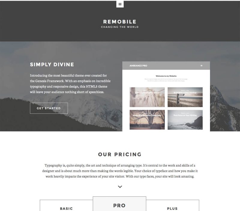 StudioPress Remobile Pro Genesis WordPress Theme 1.0.2