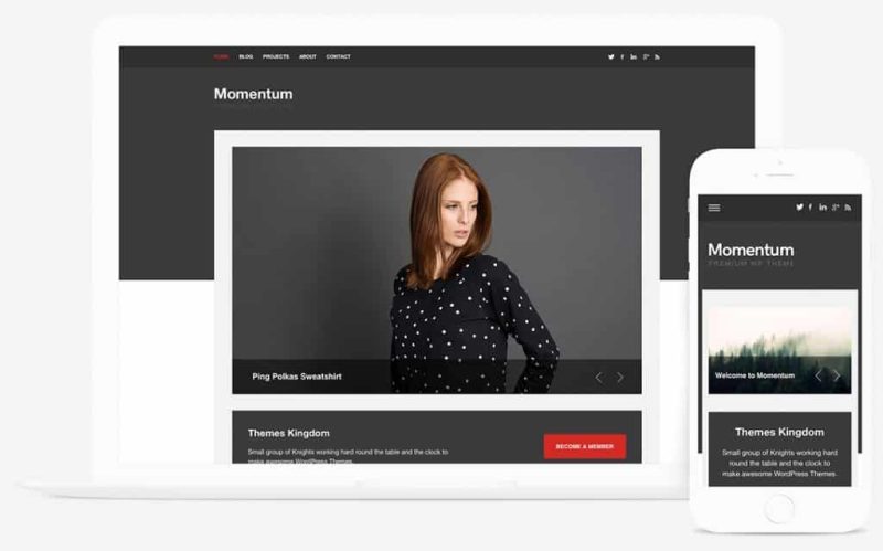 Themes Kingdom Momentum WordPress Theme 2.3.1