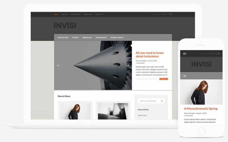 Themes Kingdom Invisi WordPress Theme 2.1.3