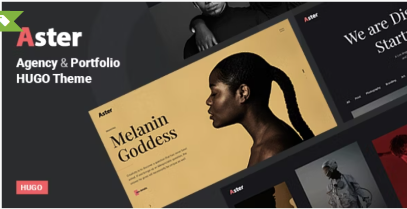 Aster Creative Portfolio Agency Hugo Theme