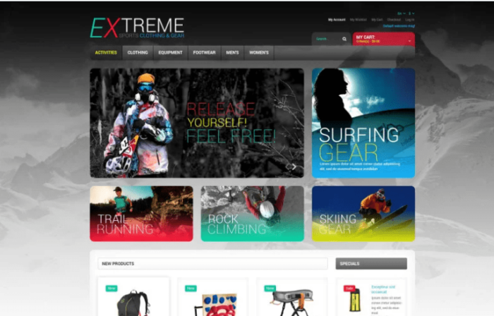 Effective Online Store Magento Theme