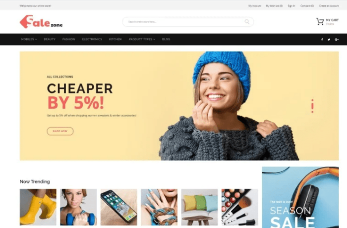 SaleZone - Wholesale eCommerce Magento Theme