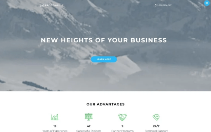Proconsult Joomla Template