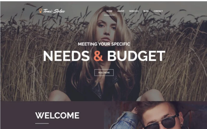 Tomi Solas WordPress Theme