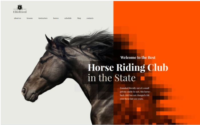 Elite Breed - Equestrian & Horse Riding Club WordPress Theme