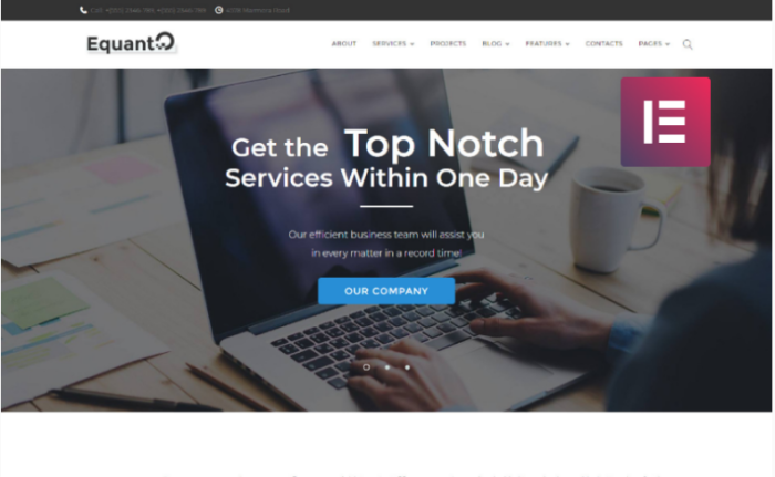 Equanto - Business Consulting Elementor WordPress Theme