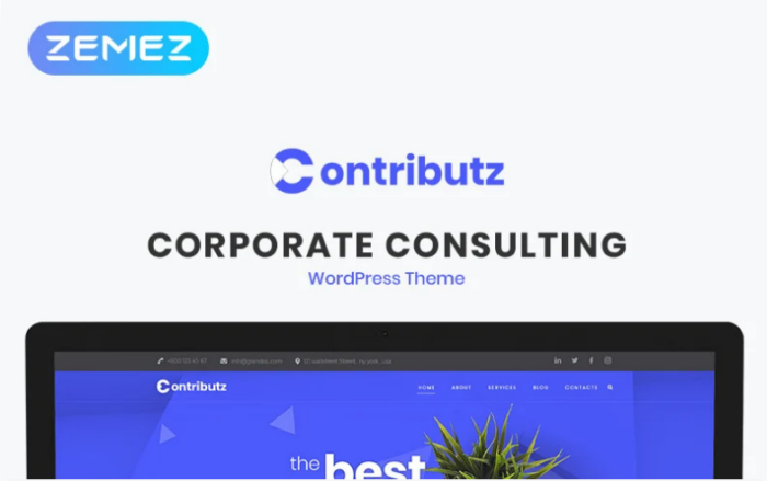 Contributz - Corporate Consulting Elementor WordPress Theme