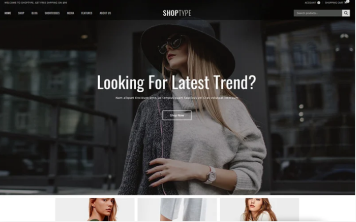 ShopType - Fashion Store WooCommerce Theme