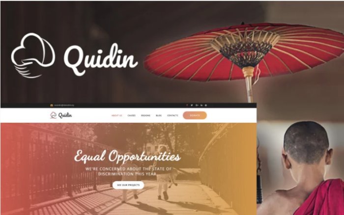 Quidin - Charity Fully Responsive WordPress Theme