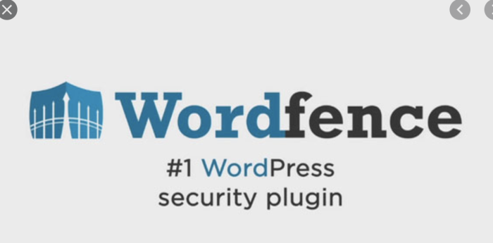 Wordfence Security Premium 7.11.3