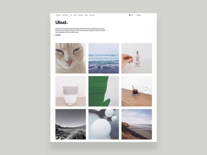 Elmastudio Ubud WordPress Theme 1.0.7
