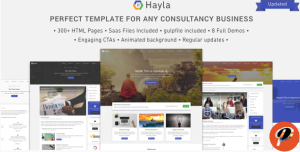 Hayla Consultancy Business Website Template