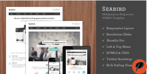 Seabird Multipurpose Responsive HTML5 Template
