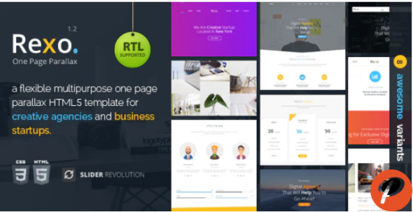 Rexo One Page Parallax