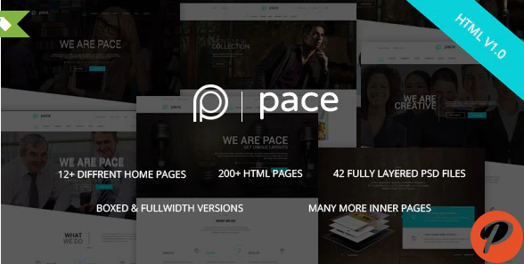 Pace Responsive MultiPurpose HTML5 Template