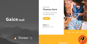 Gaice Mail Responsive E mail Template Online Access