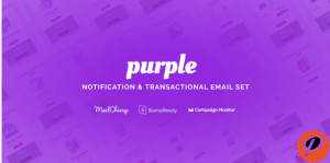 Purple Notification Transactional Email Templates