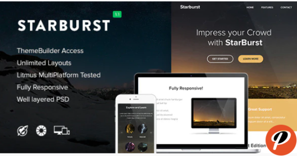 Starburst Responsive Email Themebuilder Access
