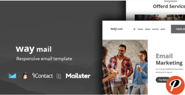 Way Mail 30 Modules Online Access Mailster MailChimp