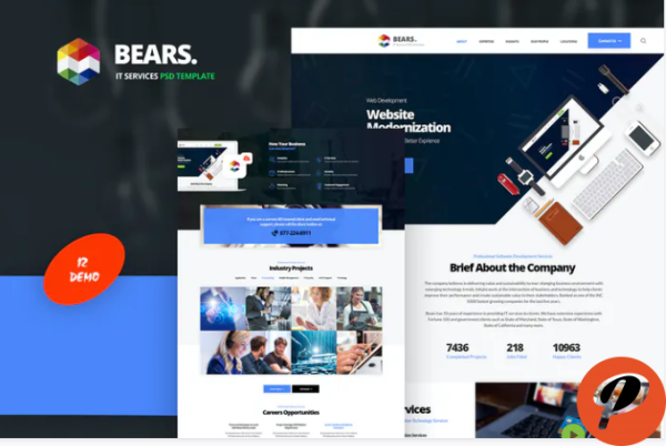 Bears IT Services PSD Template
