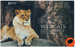 WildLife Wild Life Multipage Creative HTML Website Template