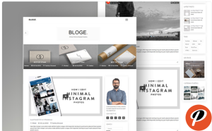 BLOGE Minimal Blogging Website Template