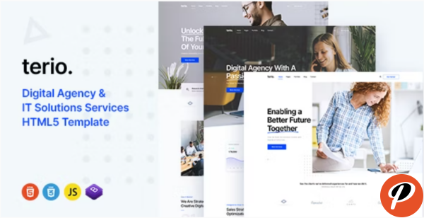 Terio Digital Agency IT Services Template 1