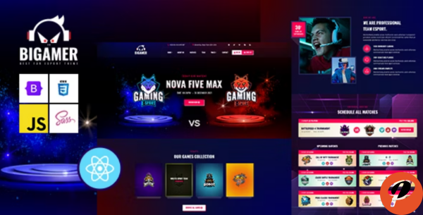 Bigamer eSports And Gaming Tournaments React Js Template