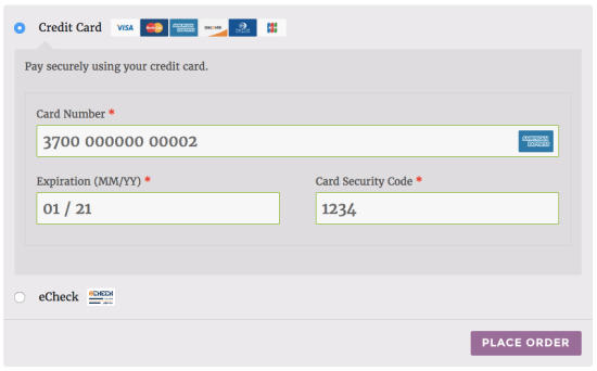 woocommerce authorize net aim pay form 1