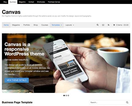 Canvas WordPress Theme 1