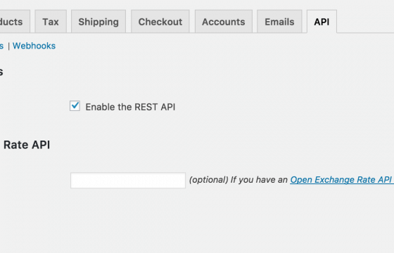 open exchange api key 560x360 1