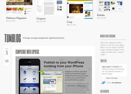 briefed wordpress theme 500x360 1