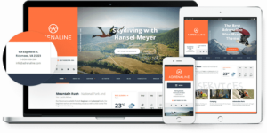 respnsive design adrenaline wp theme