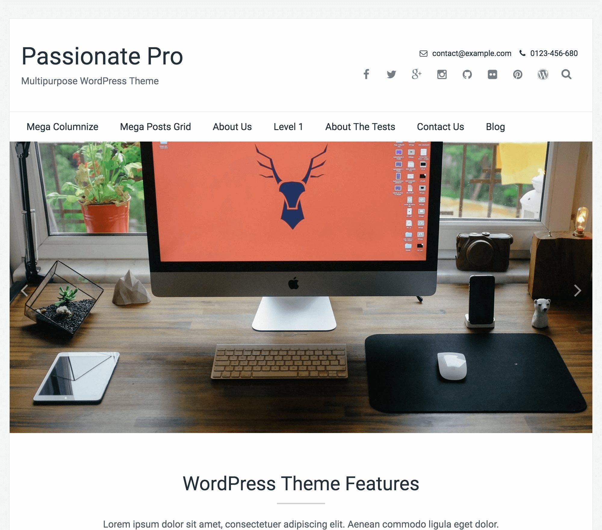 FameThemes Passionate Pro WordPress Theme