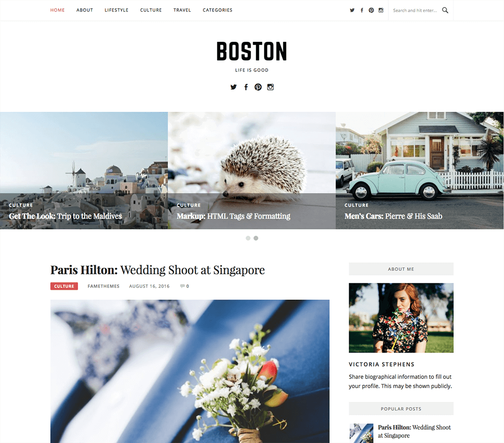 FameThemes Boston Pro WordPress Theme