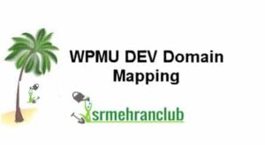 WPMU DEV Domain Mapping