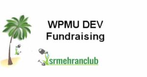 WPMU DEV Fundraising