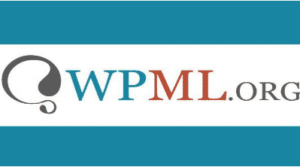 WPML String Translation Addon 1