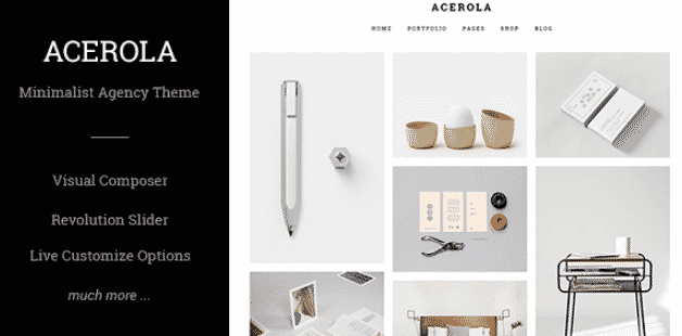 Acerola Ultra Minimalist Agency WordPress Theme