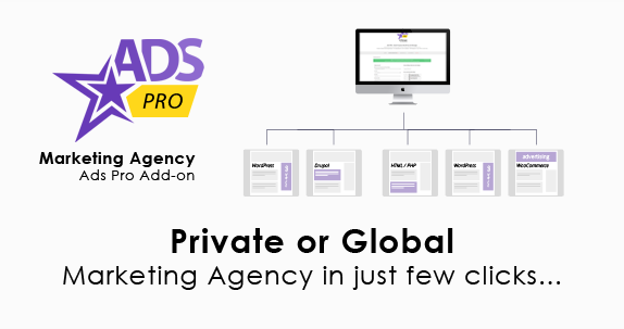 Ads Pro Add on WordPress Marketing Agency