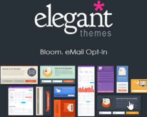 Elegant Themes Bloom Email Opt Ins