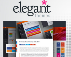 Elegant Themes Monarch Social Media Sharing